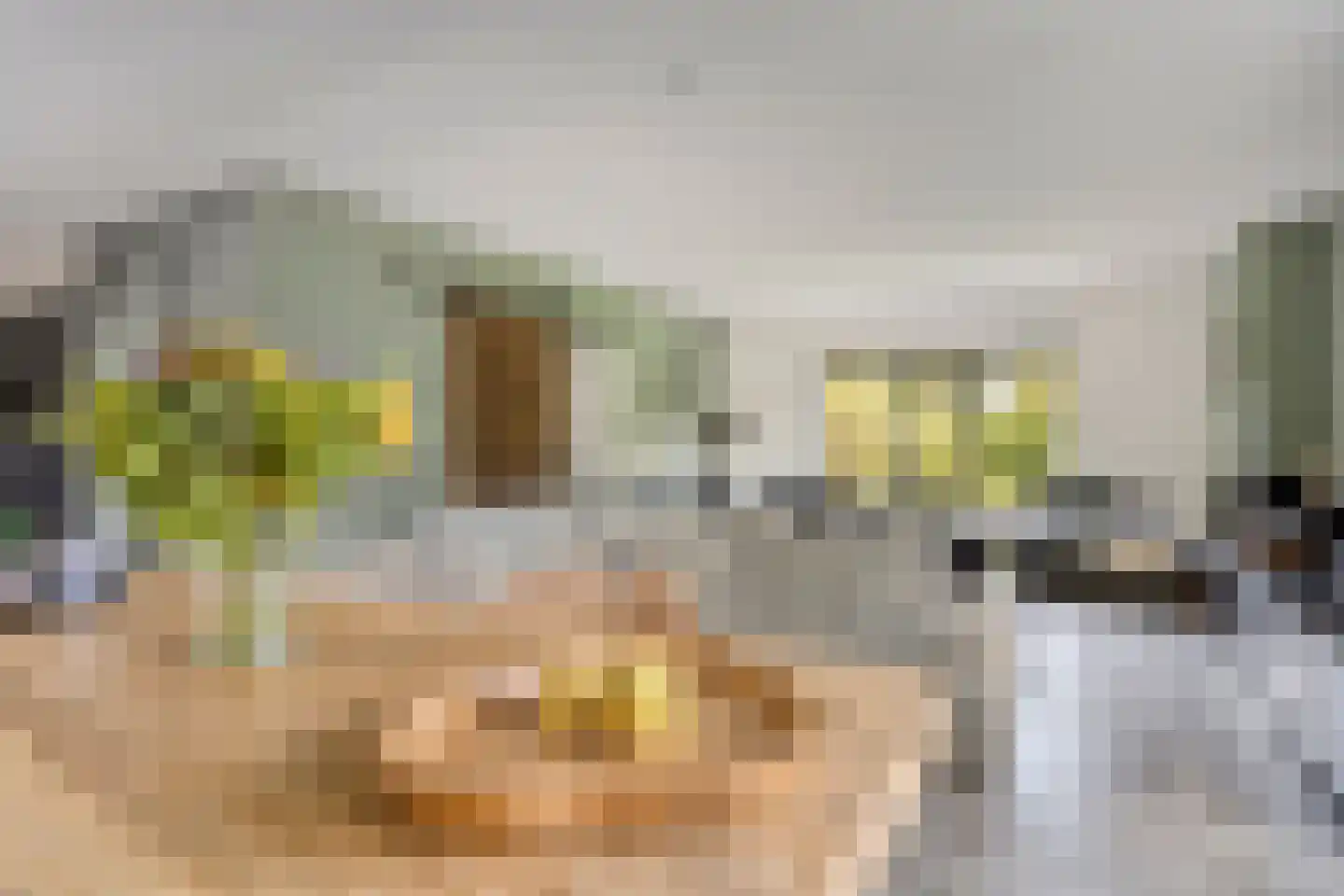 Meekrapstraat 1 Brouwershaven thumbnail 23
