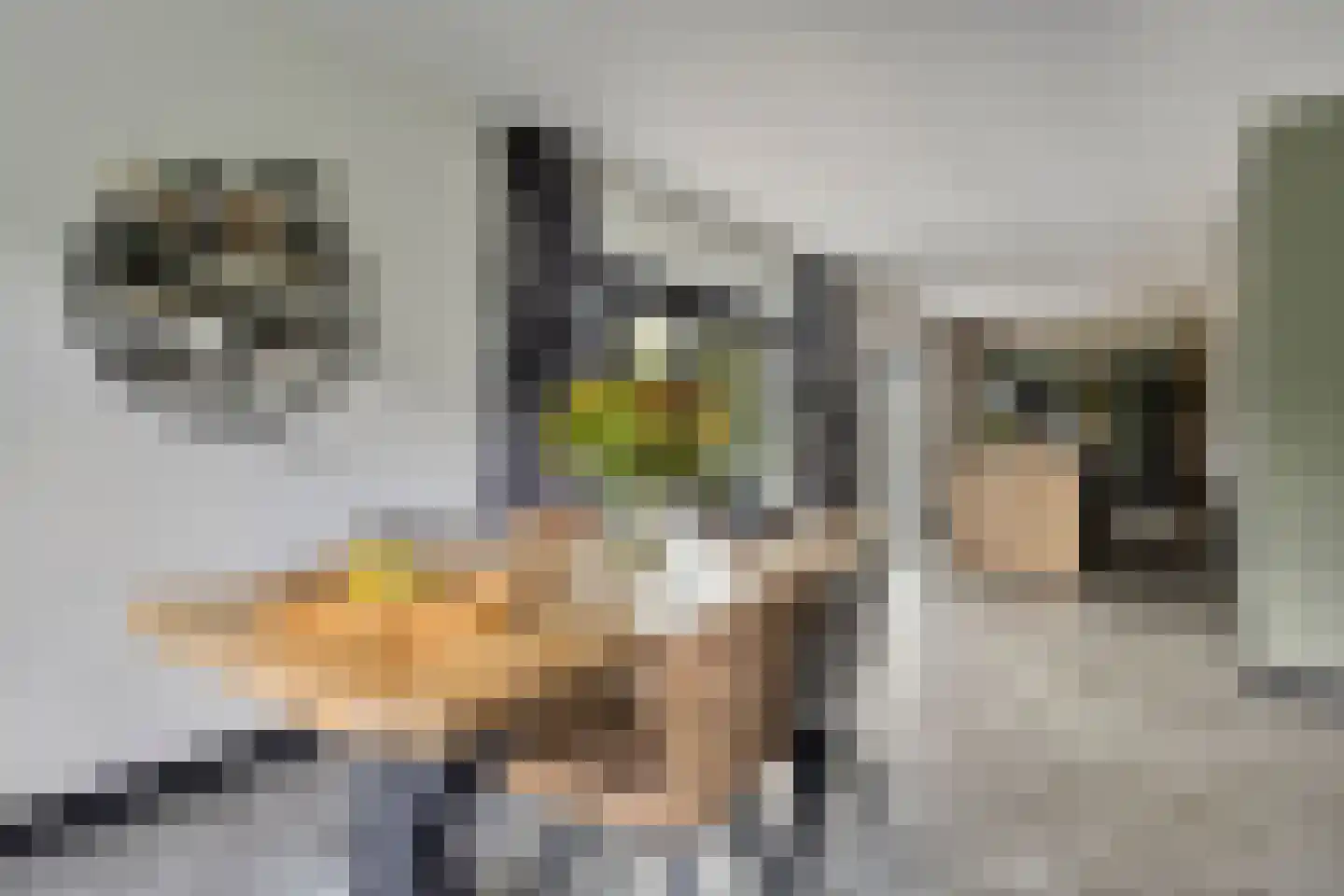 Meekrapstraat 1 Brouwershaven thumbnail 25