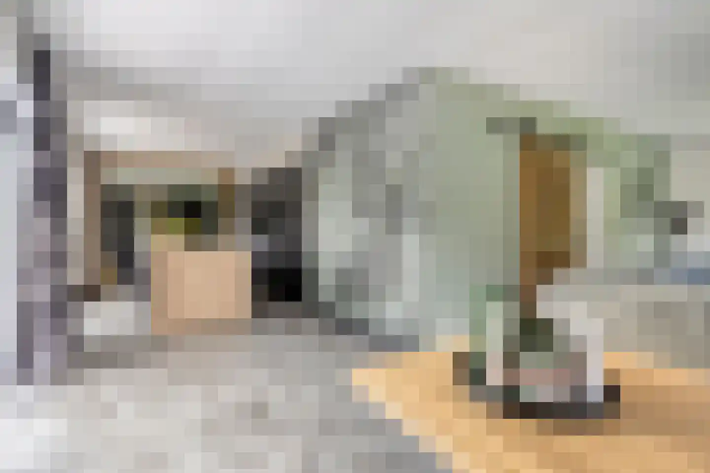 Meekrapstraat 1 Brouwershaven thumbnail 27