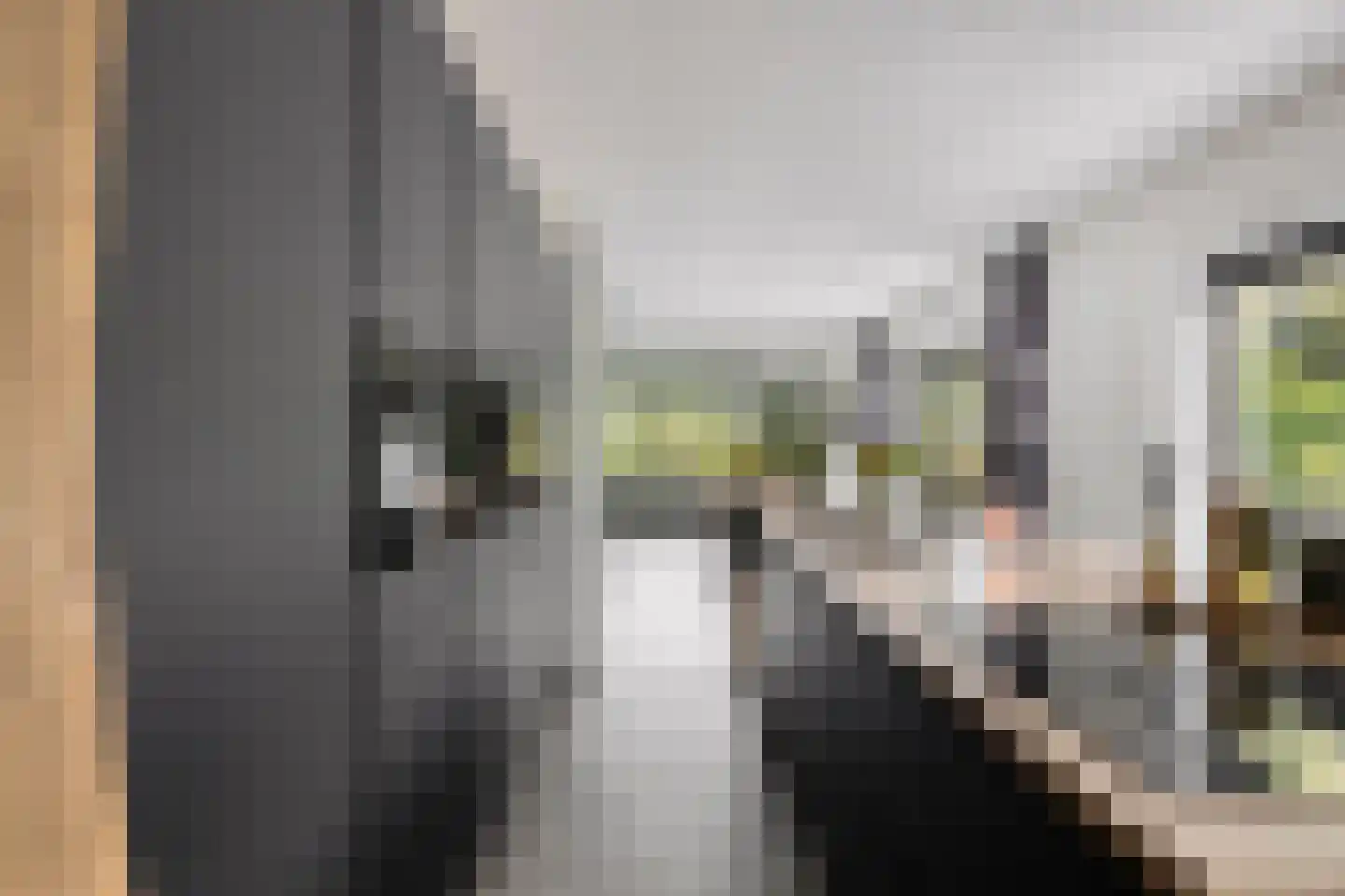 Meekrapstraat 1 Brouwershaven thumbnail 29