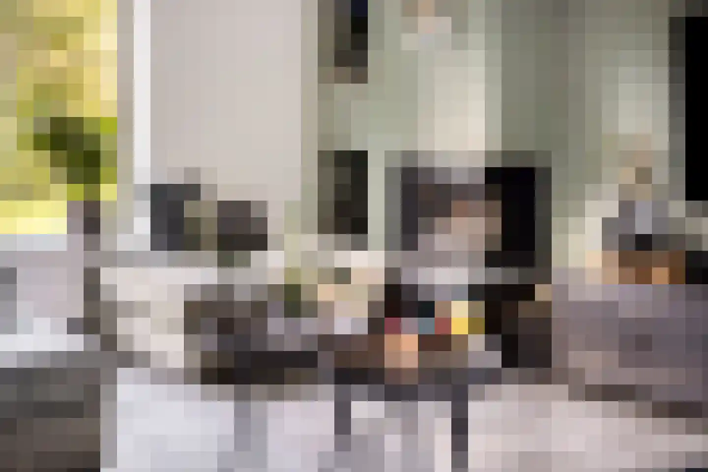 Meekrapstraat 1 Brouwershaven thumbnail 4