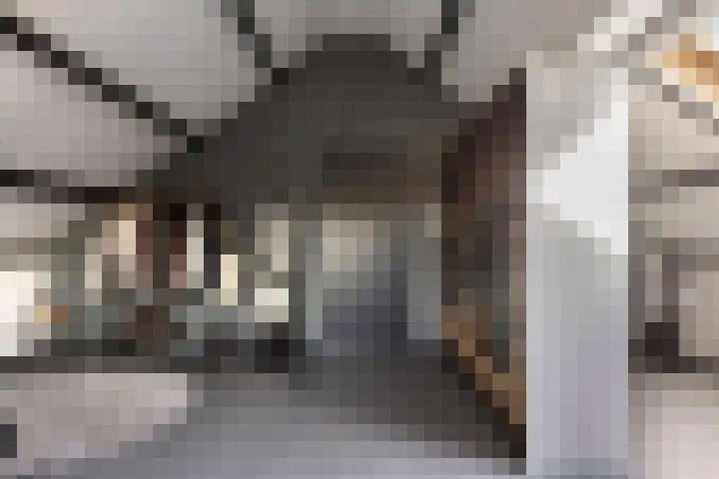 Meekrapstraat 1 Brouwershaven thumbnail 43