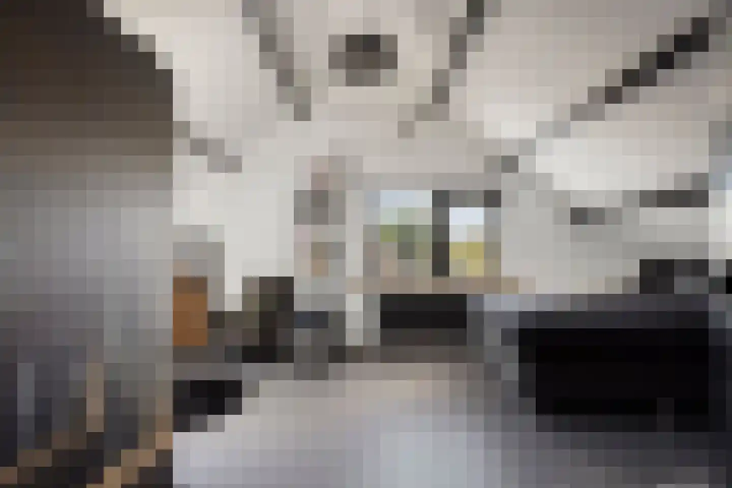 Meekrapstraat 1 Brouwershaven thumbnail 44