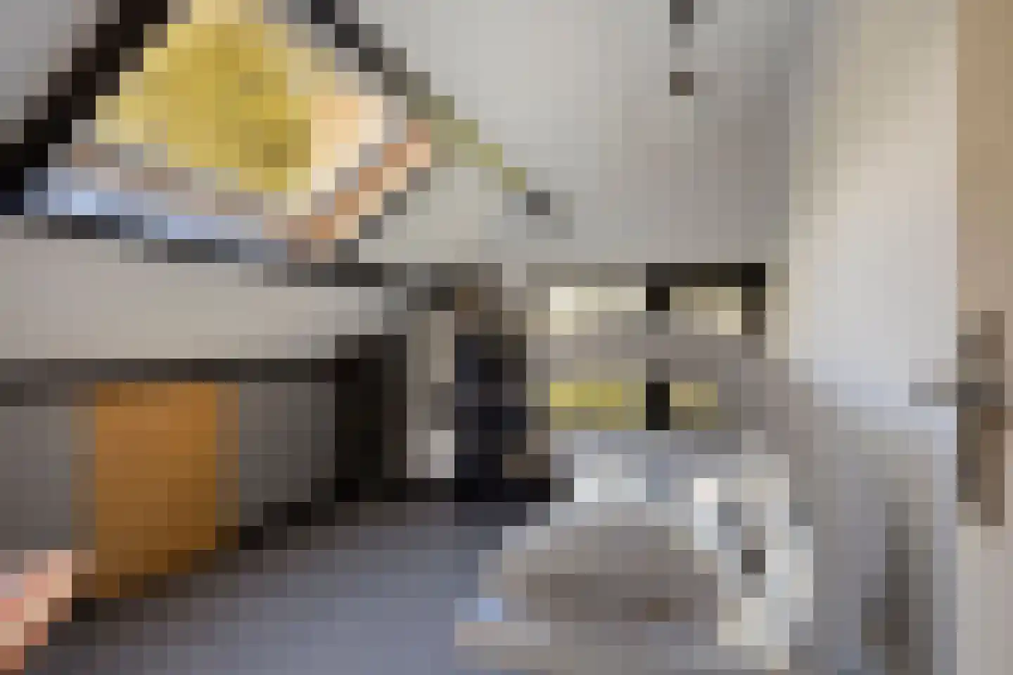 Meekrapstraat 1 Brouwershaven thumbnail 47