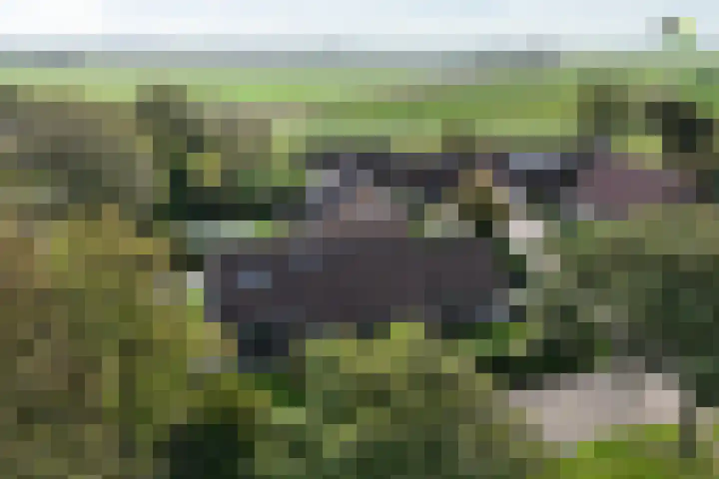 Meekrapstraat 1 Brouwershaven thumbnail 5