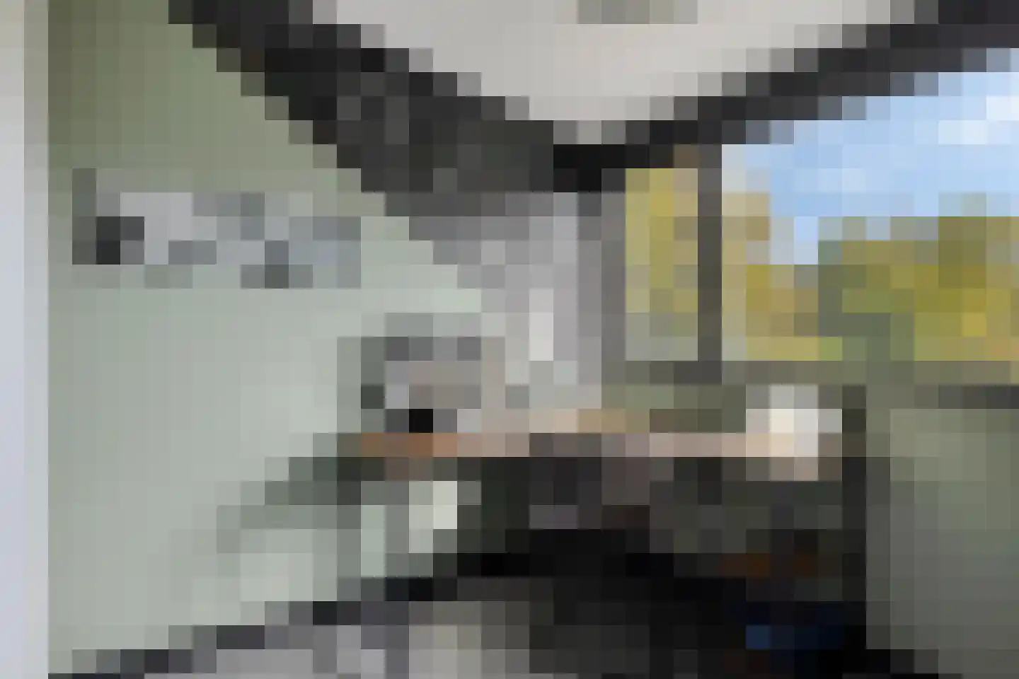 Meekrapstraat 1 Brouwershaven thumbnail 51