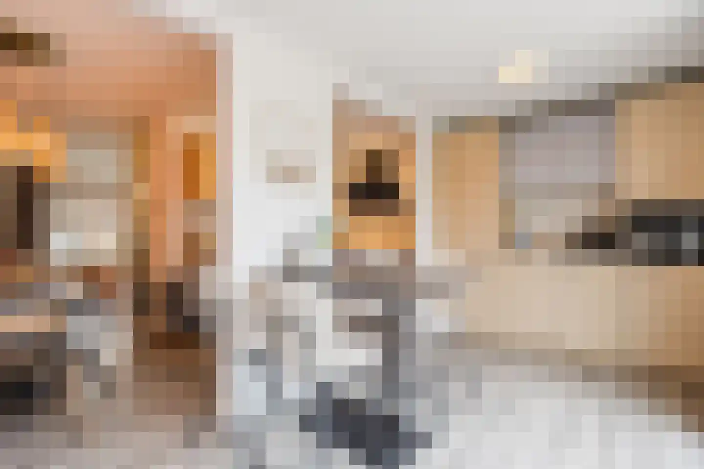 Meekrapstraat 11 Stampersgat thumbnail 20