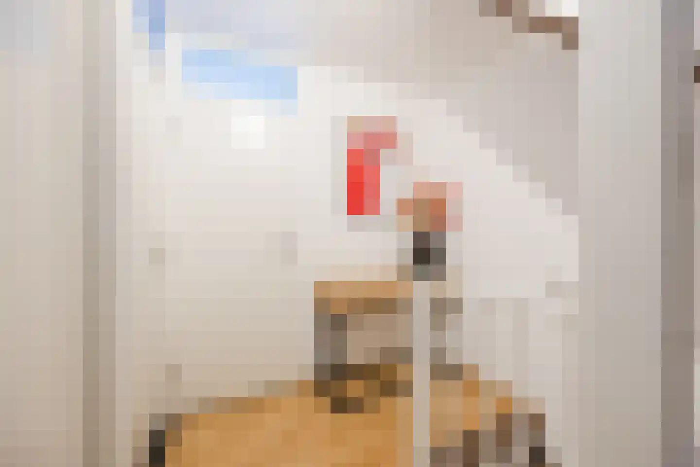Meekrapstraat 11 Stampersgat thumbnail 38