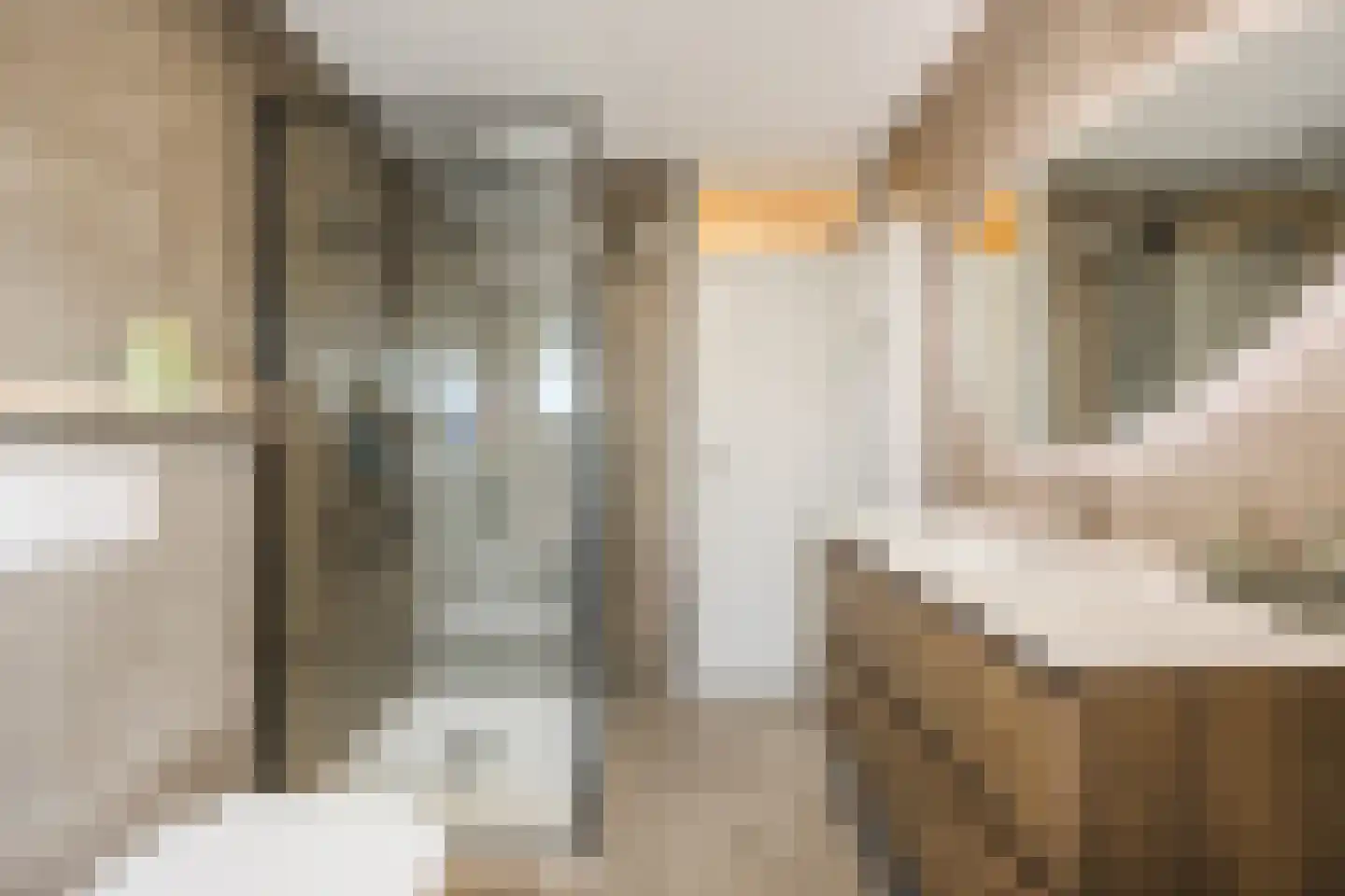 Meekrapstraat 11 Stampersgat thumbnail 7