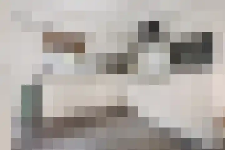 Meekrapstraat 12 Stampersgat thumbnail 14