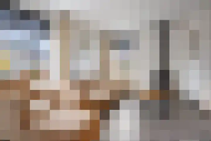 Meekrapstraat 12 Stampersgat thumbnail 15