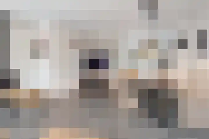 Meekrapstraat 12 Stampersgat thumbnail 17