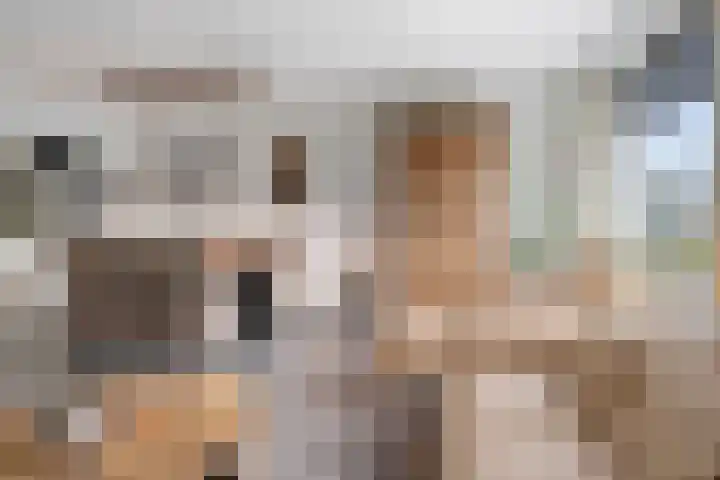 Meekrapstraat 12 Stampersgat thumbnail 18