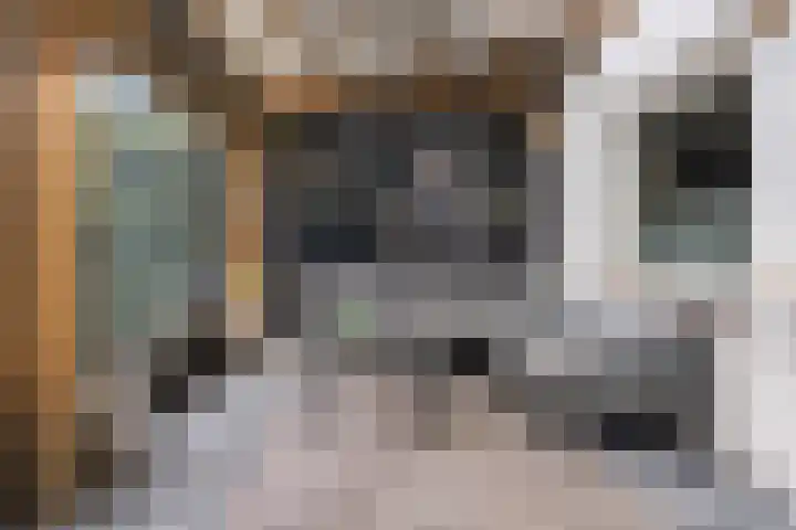 Meekrapstraat 12 Stampersgat thumbnail 41