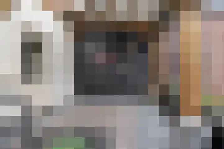 Meekrapstraat 12 Stampersgat thumbnail 42