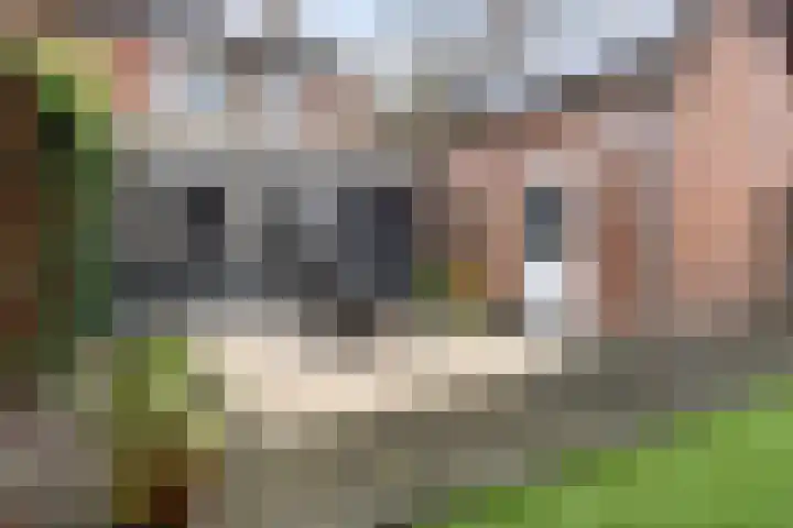 Meekrapstraat 12 Stampersgat thumbnail 45