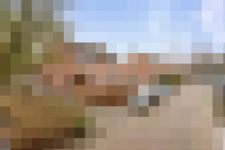 Meekrapstraat 12 Stampersgat thumbnail 49