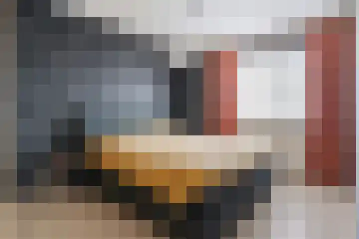 Meekrapstraat 12 Stampersgat thumbnail 5