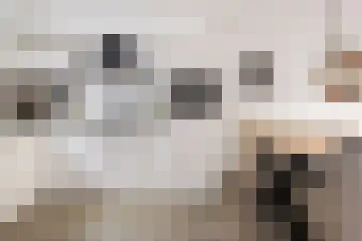 Meekrapstraat 12 Stampersgat thumbnail 9