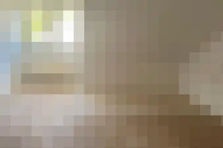 Meekrapstraat 13 Kolhorn thumbnail 11