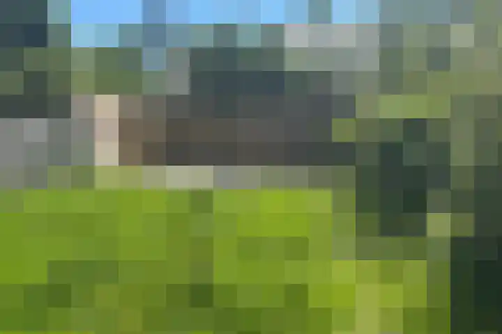 Meekrapstraat 13 Kolhorn thumbnail 12