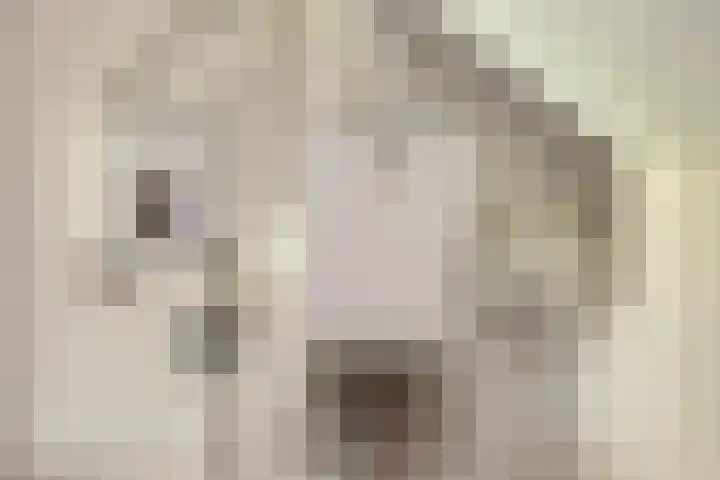 Meekrapstraat 13 Kolhorn thumbnail 14