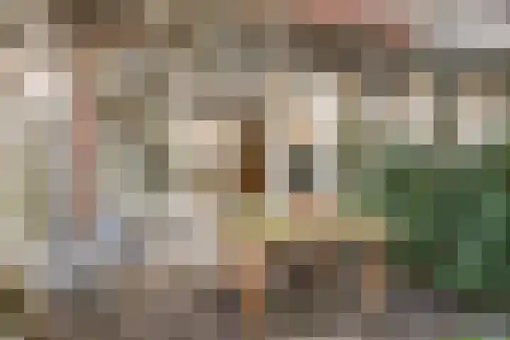 Meekrapstraat 13 Rotterdam thumbnail 10