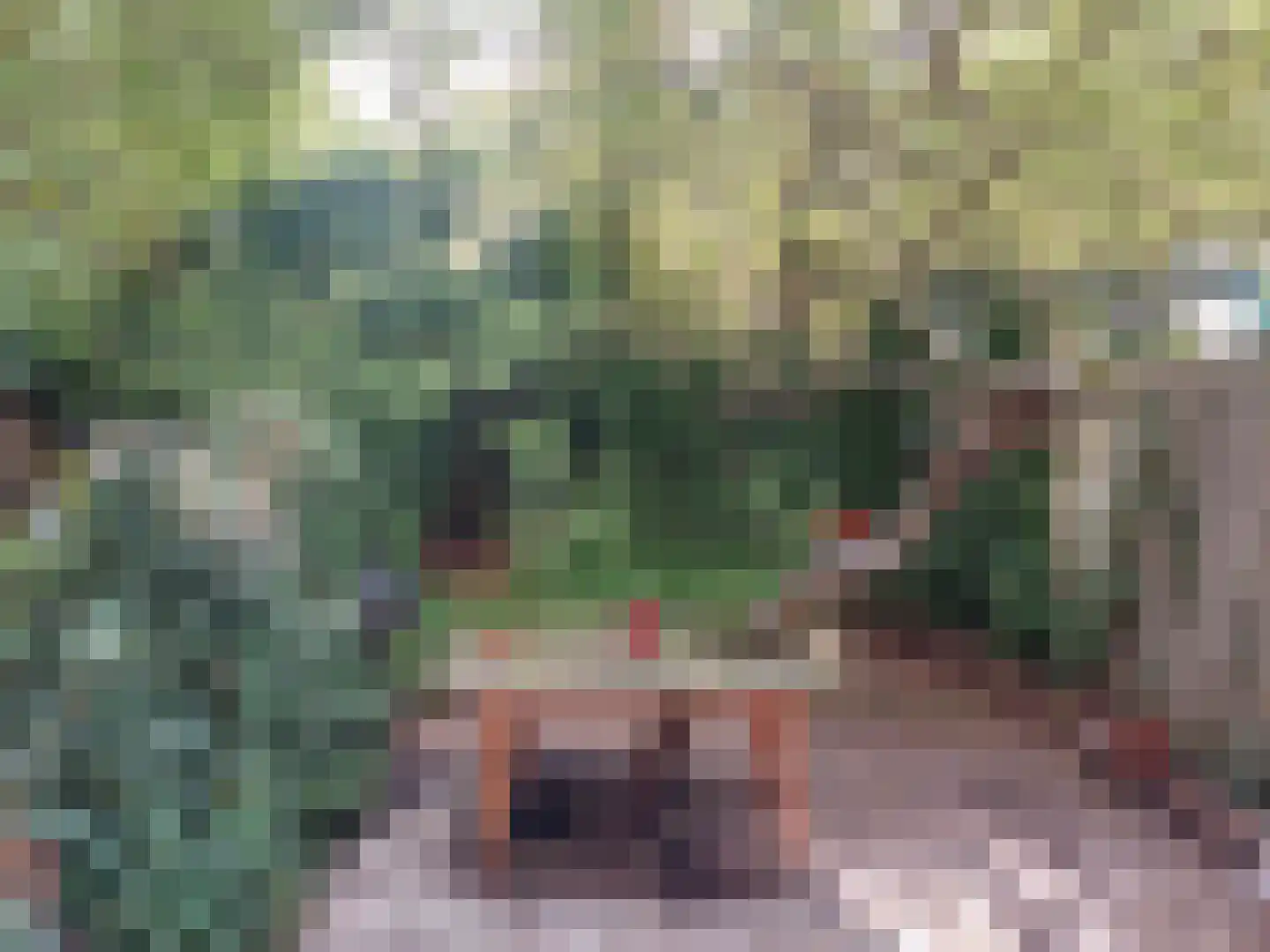 Meekrapstraat 13 Rotterdam thumbnail 11