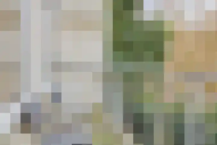 Meekrapstraat 13 Rotterdam thumbnail 24