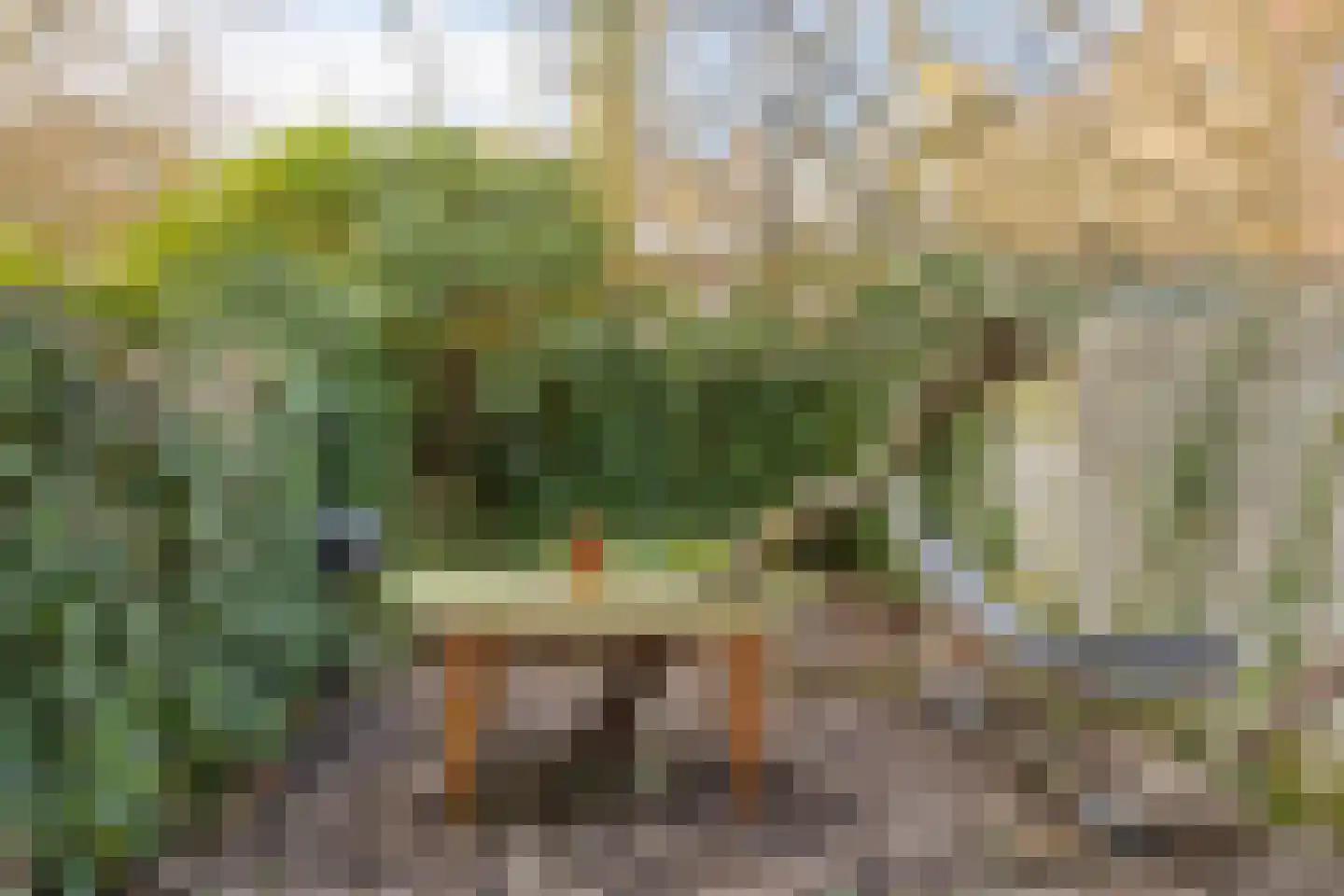 Meekrapstraat 13 Rotterdam thumbnail 9