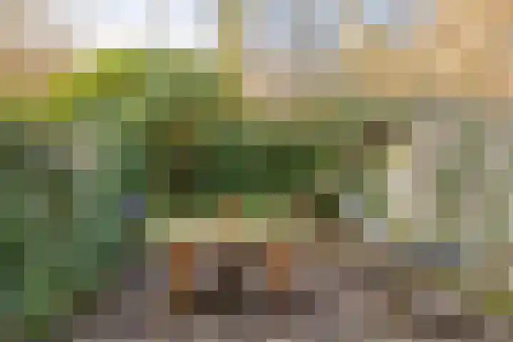 Meekrapstraat 13 Rotterdam thumbnail 9