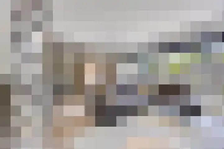 Meekrapstraat 18 Bruinisse thumbnail 15