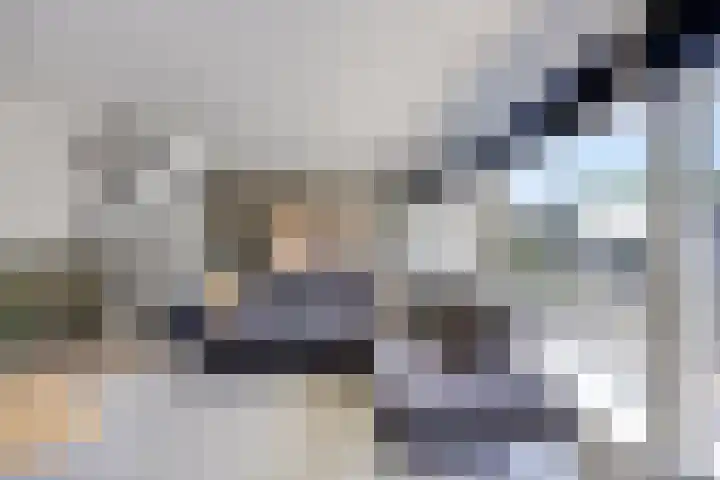 Meekrapstraat 18 Bruinisse thumbnail 16