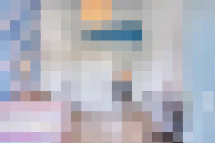 Meekrapstraat 18 Bruinisse thumbnail 20