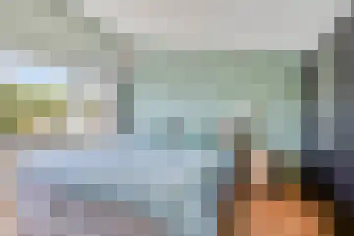 Meekrapstraat 18 Bruinisse thumbnail 24