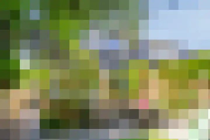 Meekrapstraat 18 Bruinisse thumbnail 28