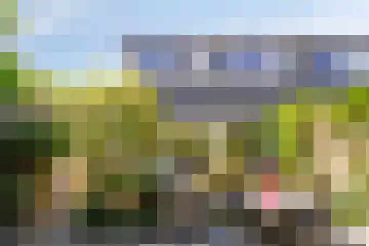 Meekrapstraat 18 Bruinisse thumbnail 29