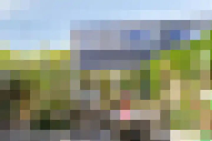 Meekrapstraat 18 Bruinisse thumbnail 30