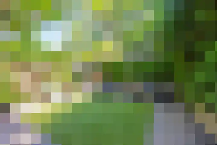 Meekrapstraat 18 Bruinisse thumbnail 32