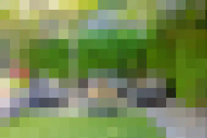 Meekrapstraat 18 Bruinisse thumbnail 33