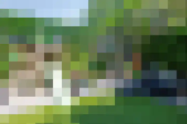 Meekrapstraat 18 Bruinisse thumbnail 34