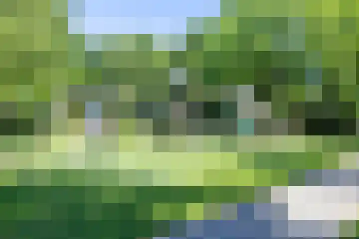 Meekrapstraat 18 Bruinisse thumbnail 35