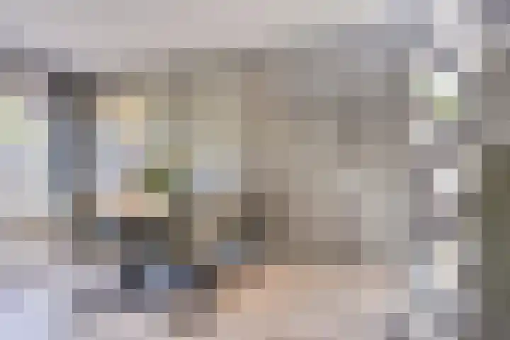 Meekrapstraat 18 Bruinisse thumbnail 6