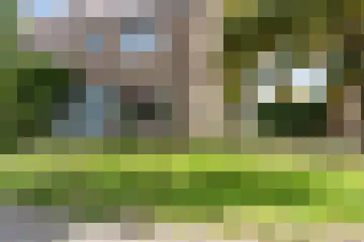 Meekrapstraat 33 Rotterdam thumbnail 29