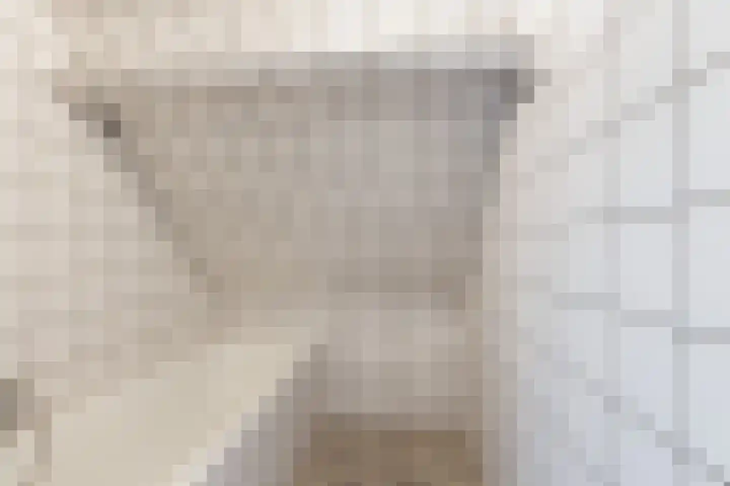Meekrapstraat 33 Rotterdam thumbnail 33