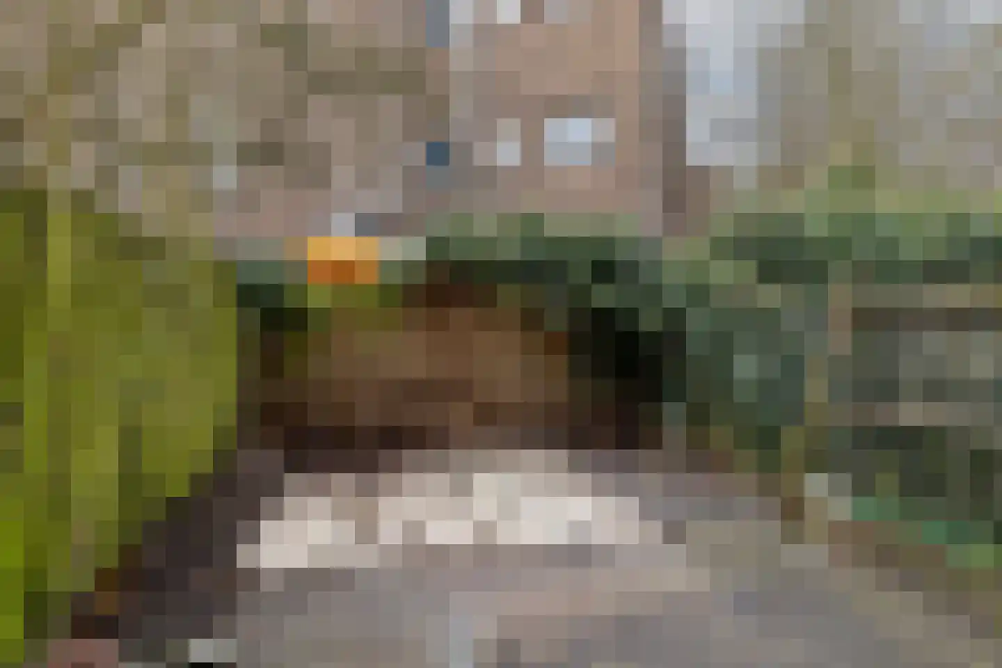Meekrapstraat 33 Rotterdam thumbnail 34