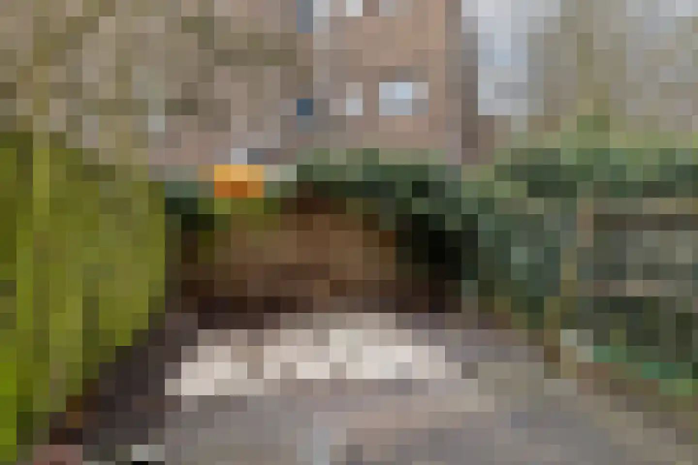 Meekrapstraat 33 Rotterdam thumbnail 34