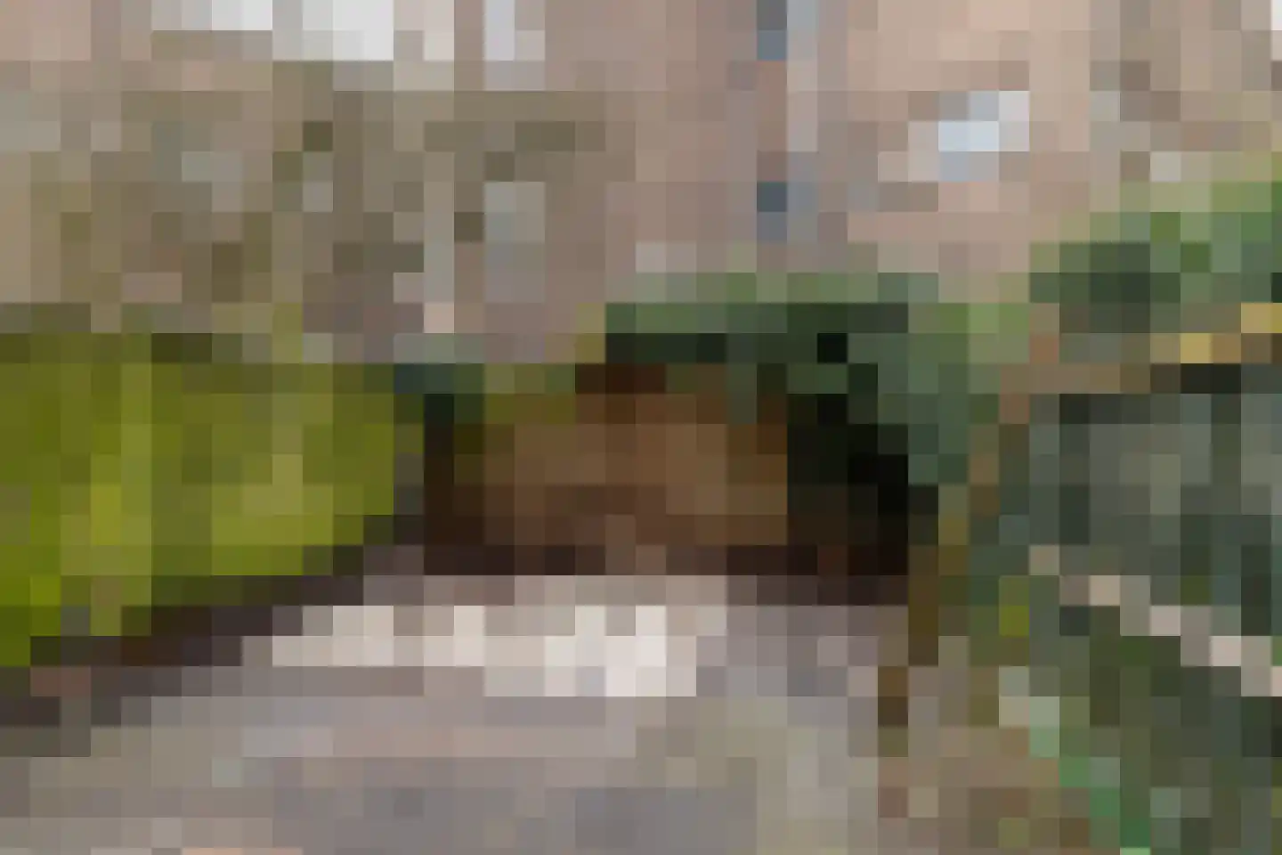 Meekrapstraat 33 Rotterdam thumbnail 35