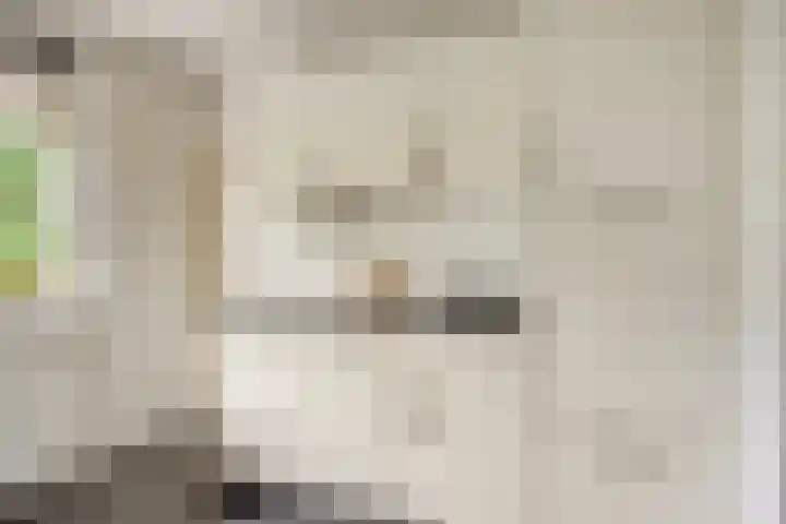 Meekrapstraat 33 Rotterdam thumbnail 37