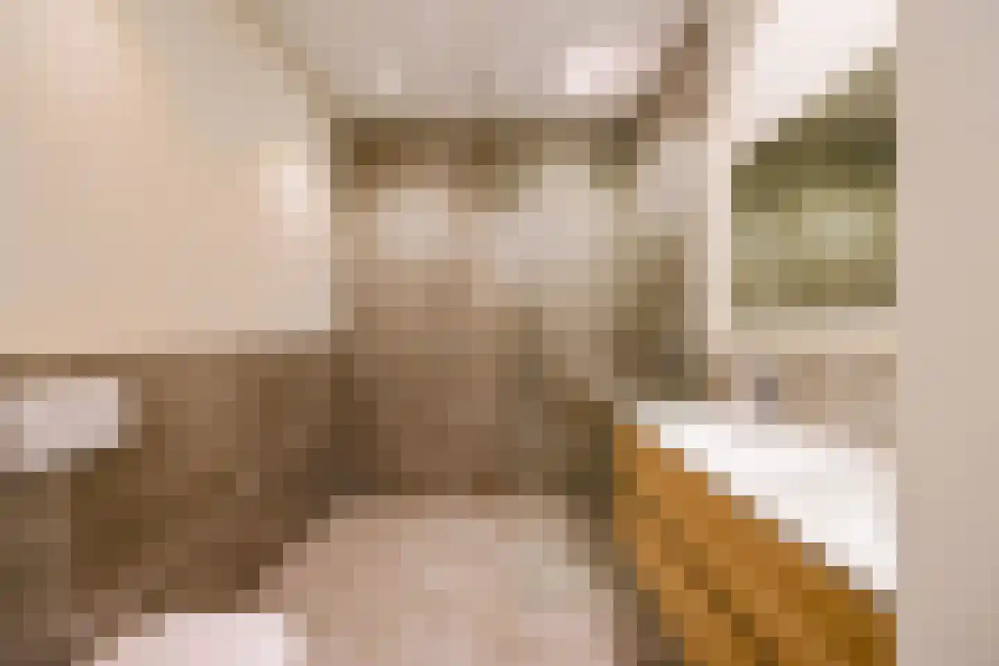 Meekrapstraat 33 Rotterdam thumbnail 6